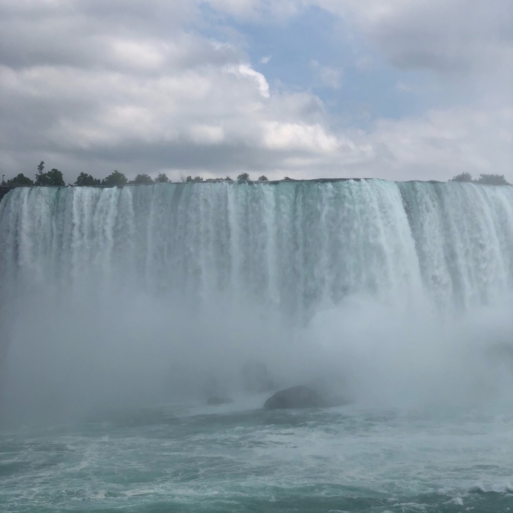 Meet your Posher, Rita